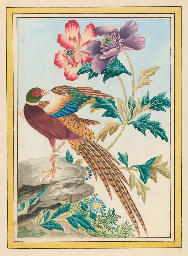 Plantes De Chine Pl 024 Wall Art by Pierre Joseph Buchoz - High-Resolution Digital Print