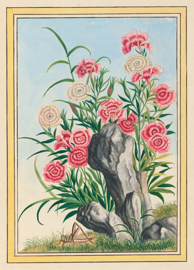 Plantes De Chine Pl 030 Wall Art by Pierre Joseph Buchoz - High-Resolution Digital Print