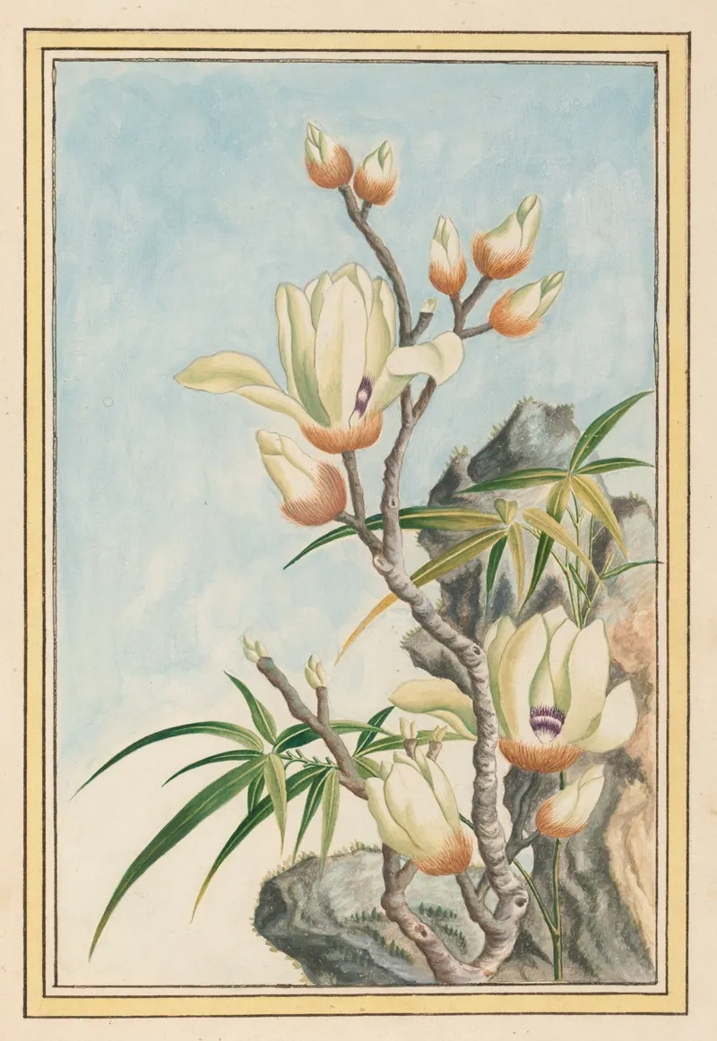 Plantes De Chine Pl 032 Wall Art by Pierre Joseph Buchoz - High-Resolution Digital Print
