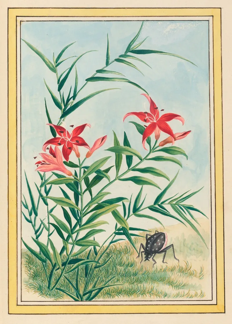 Plantes De Chine Pl 035 Wall Art by Pierre Joseph Buchoz - High-Resolution Digital Print
