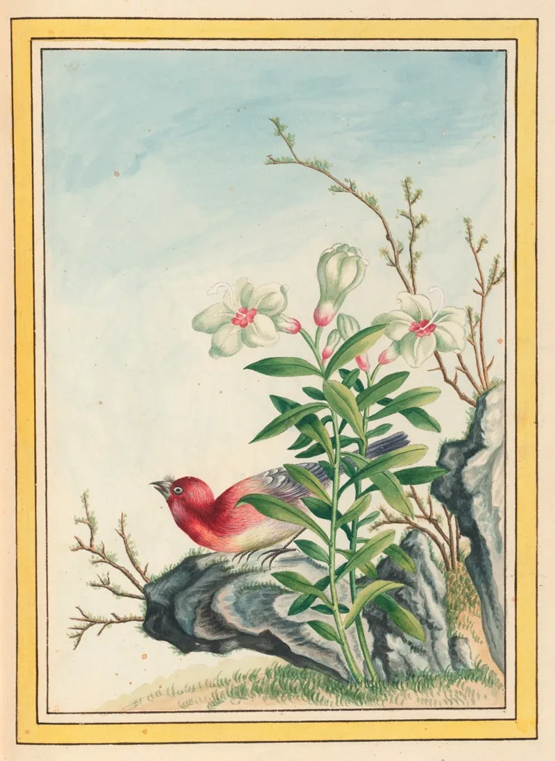Plantes De Chine Pl 038 Wall Art by Pierre Joseph Buchoz - High-Resolution Digital Print