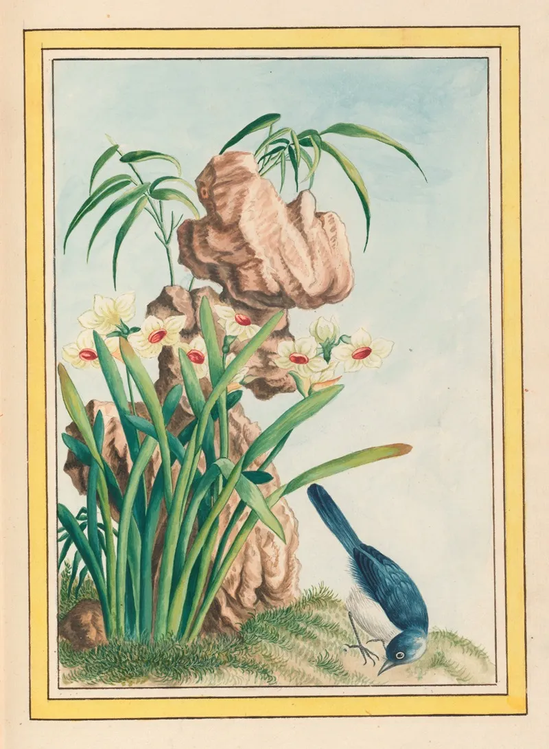 Plantes De Chine Pl 040 Wall Art by Pierre Joseph Buchoz - High-Resolution Digital Print