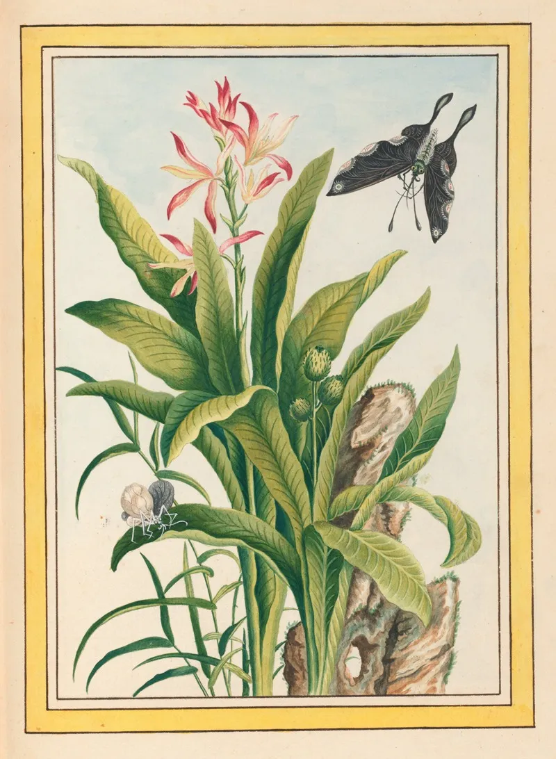 Plantes De Chine Pl 041 Wall Art by Pierre Joseph Buchoz - High-Resolution Digital Print