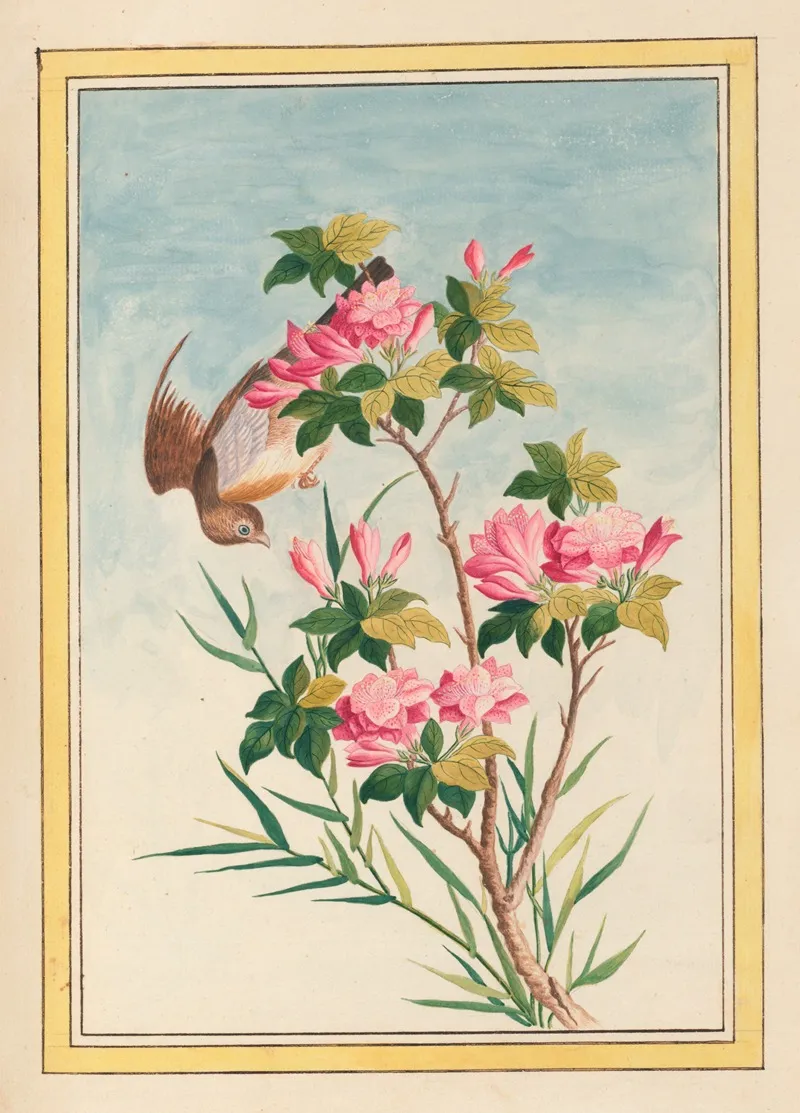 Plantes De Chine Pl 043 Wall Art by Pierre Joseph Buchoz - High-Resolution Digital Print