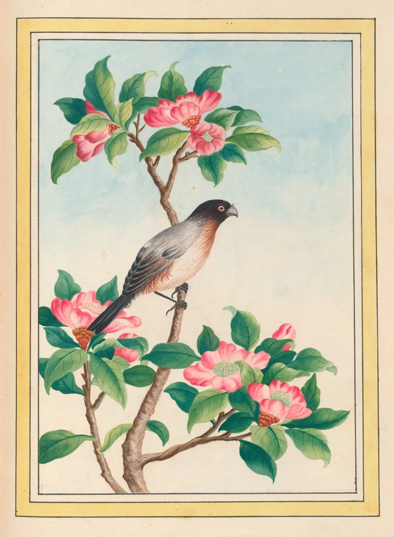 Plantes De Chine Pl 046 Wall Art by Pierre Joseph Buchoz - High-Resolution Digital Print