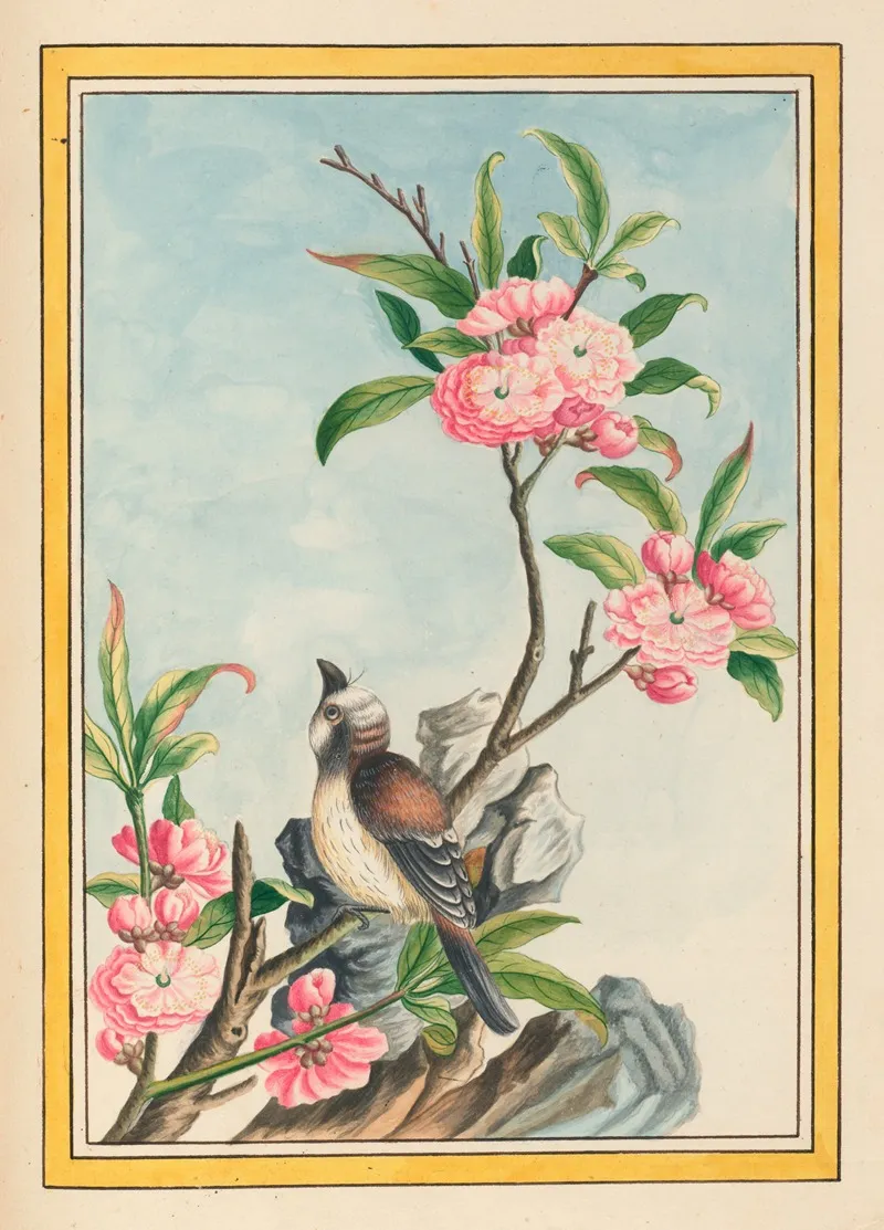Plantes De Chine Pl 047 Wall Art by Pierre Joseph Buchoz - High-Resolution Digital Print