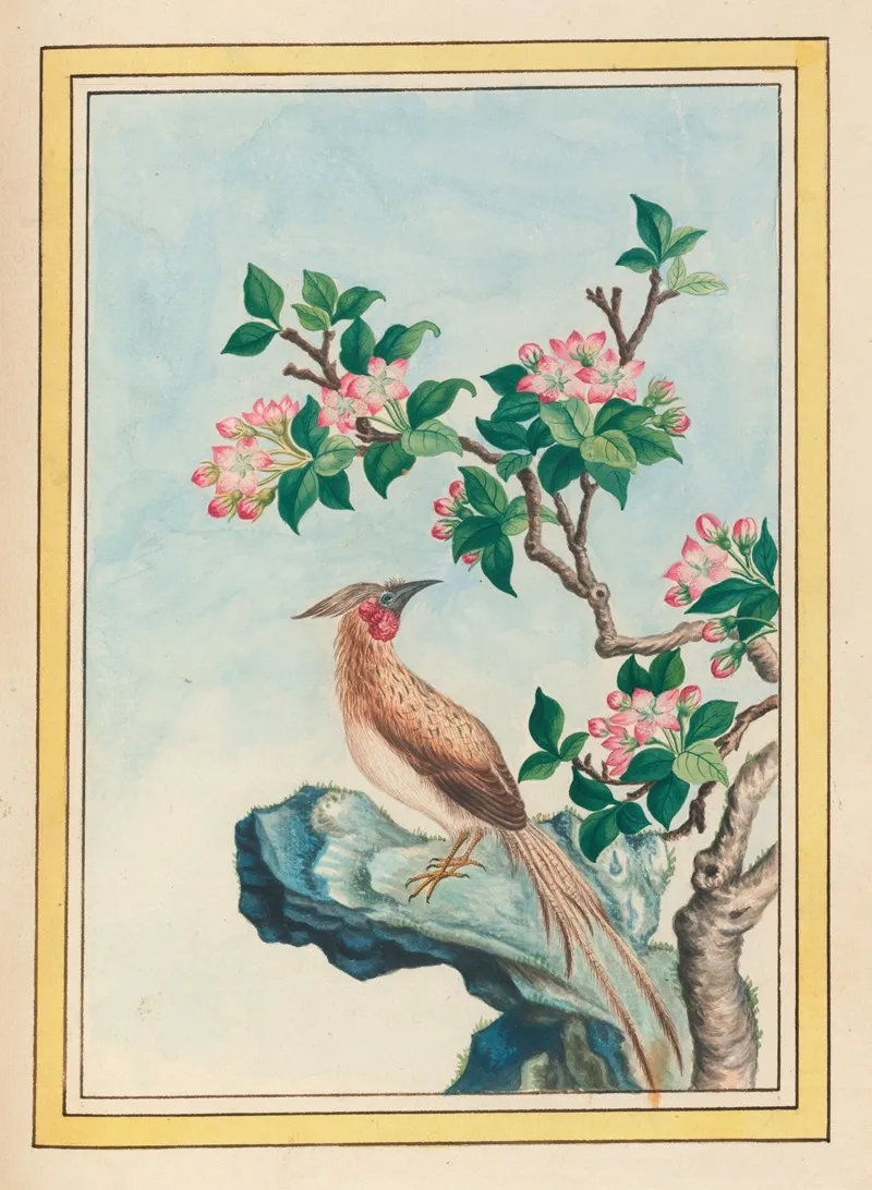 Plantes De Chine Pl 048 Wall Art by Pierre Joseph Buchoz - High-Resolution Digital Print