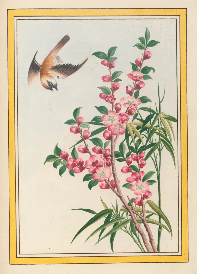 Plantes De Chine Pl 049 Wall Art by Pierre Joseph Buchoz - High-Resolution Digital Print