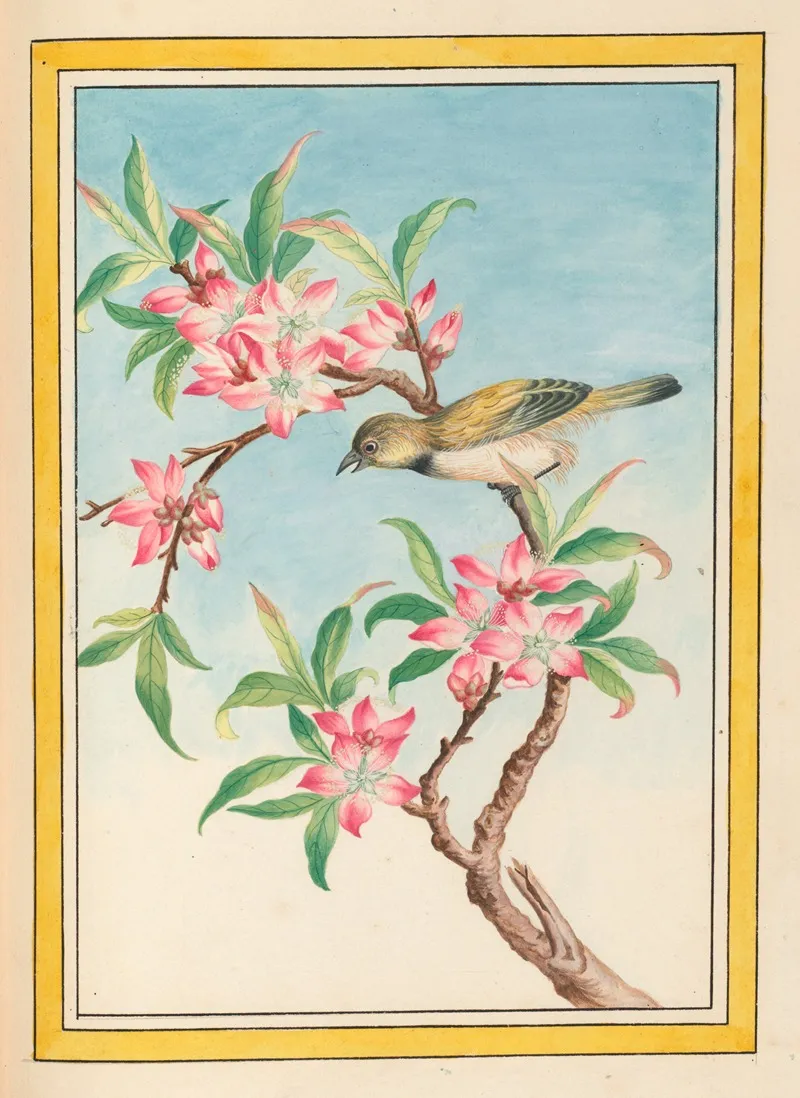 Plantes De Chine Pl 052 Wall Art by Pierre Joseph Buchoz - High-Resolution Digital Print