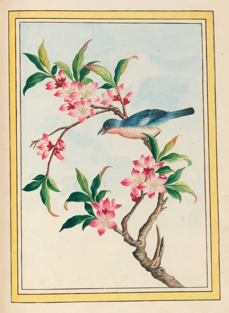Plantes De Chine Pl 053 Wall Art by Pierre Joseph Buchoz - High-Resolution Digital Print
