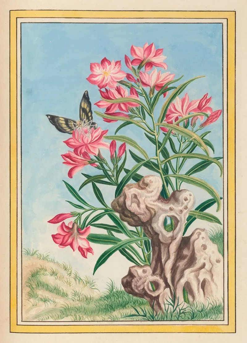 Plantes De Chine Pl 054 Wall Art by Pierre Joseph Buchoz - High-Resolution Digital Print
