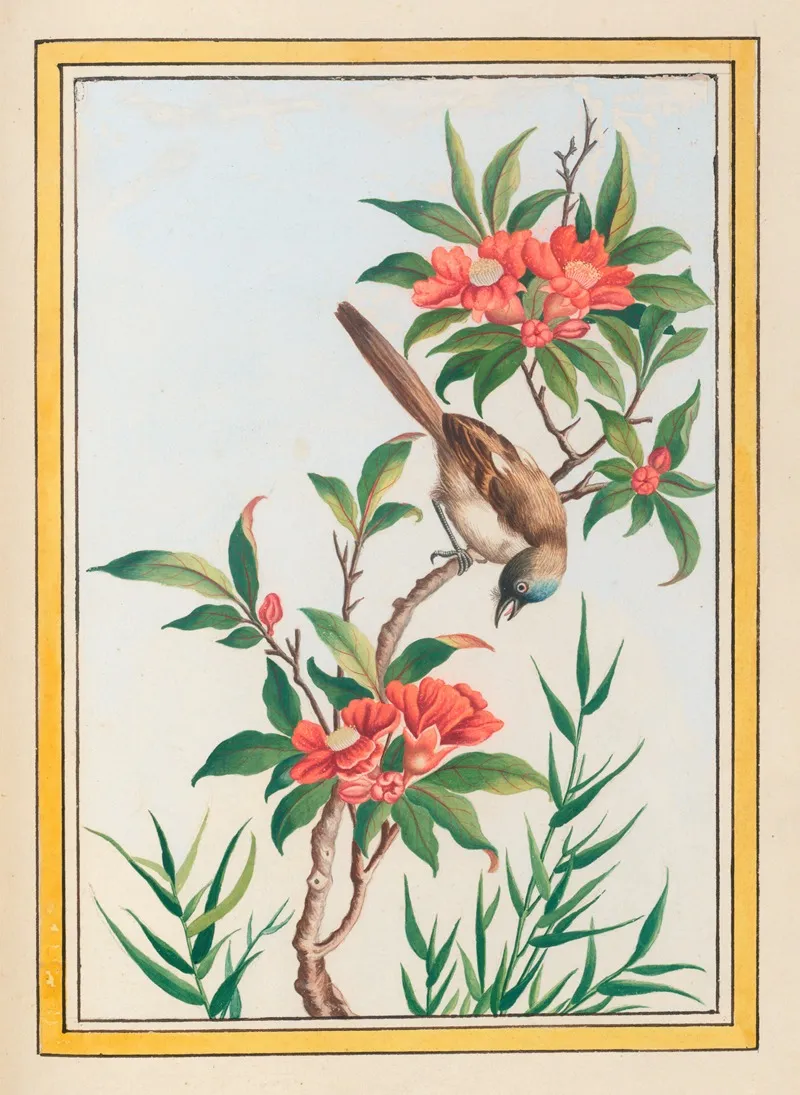 Plantes De Chine Pl 056 Wall Art by Pierre Joseph Buchoz - High-Resolution Digital Print