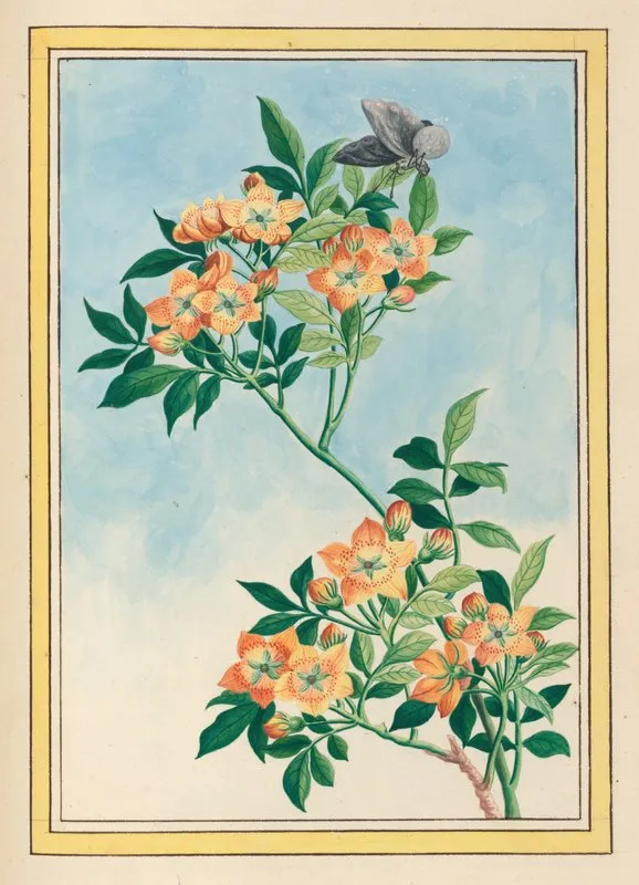 Plantes De Chine Pl 057 Wall Art by Pierre Joseph Buchoz - High-Resolution Digital Print