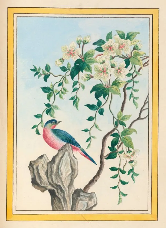 Plantes De Chine Pl 063 Wall Art by Pierre Joseph Buchoz - High-Resolution Digital Print