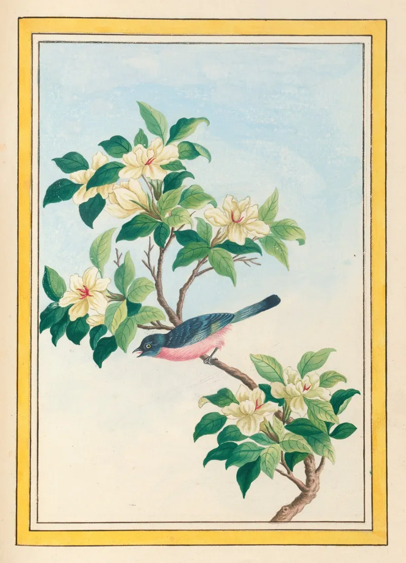 Plantes De Chine Pl 064 Wall Art by Pierre Joseph Buchoz - High-Resolution Digital Print