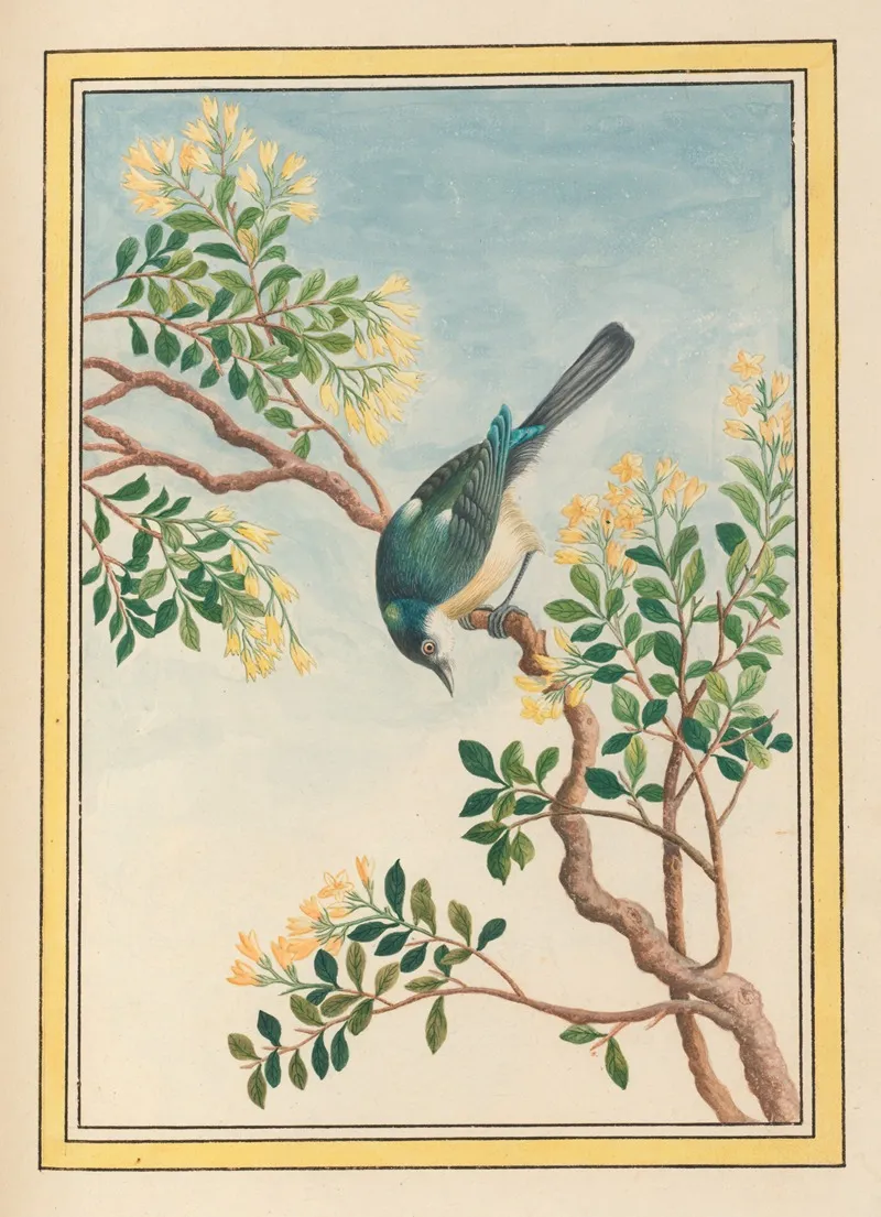 Plantes De Chine Pl 068 Wall Art by Pierre Joseph Buchoz - High-Resolution Digital Print
