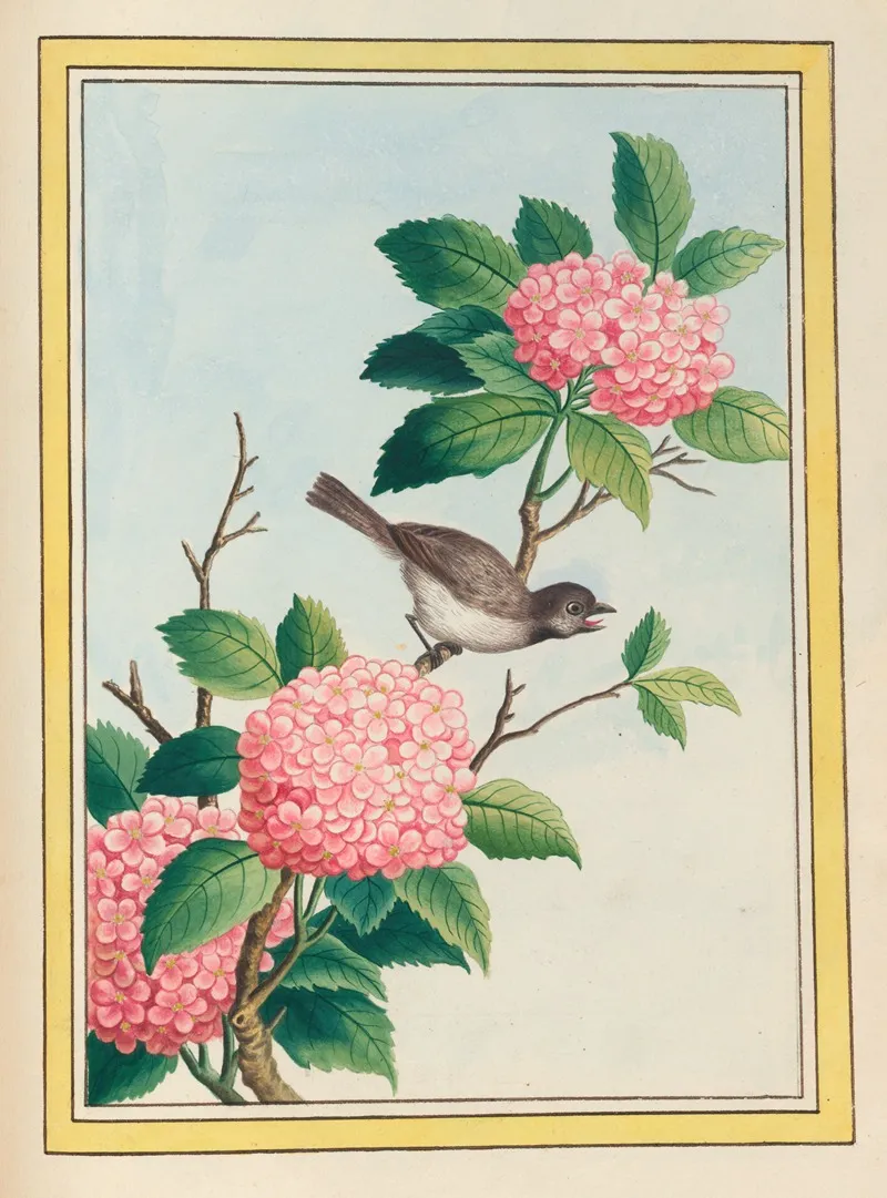 Plantes De Chine Pl 070 Wall Art by Pierre Joseph Buchoz - High-Resolution Digital Print