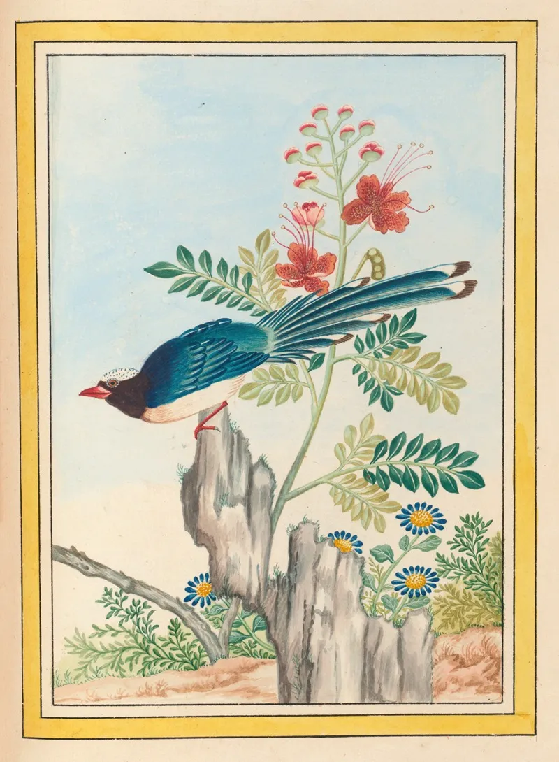 Plantes De Chine Pl 071 Wall Art by Pierre Joseph Buchoz - High-Resolution Digital Print