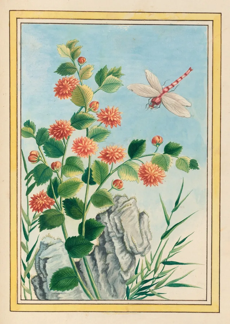 Plantes De Chine Pl 073 Wall Art by Pierre Joseph Buchoz - High-Resolution Digital Print