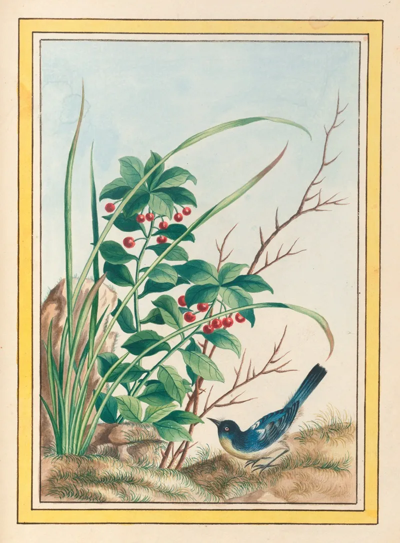 Plantes De Chine Pl 088 Wall Art by Pierre Joseph Buchoz - High-Resolution Digital Print