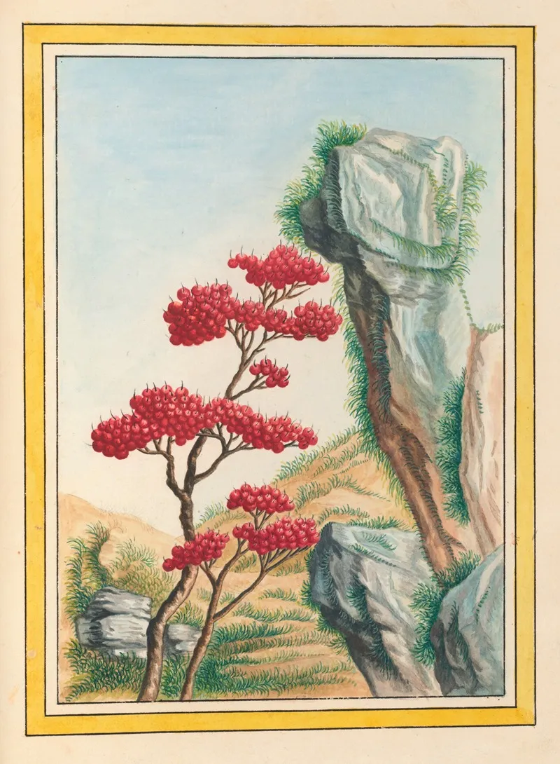 Plantes De Chine Pl 092 Wall Art by Pierre Joseph Buchoz - High-Resolution Digital Print