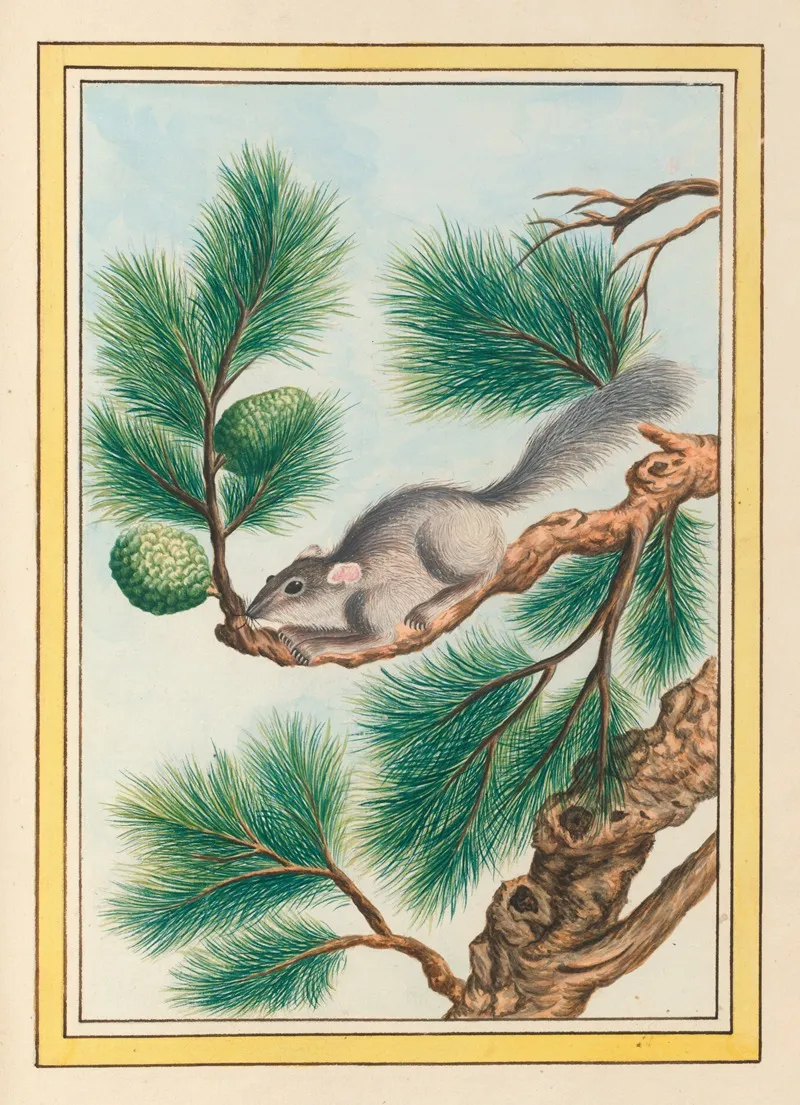 Plantes De Chine Pl 093 Wall Art by Pierre Joseph Buchoz - High-Resolution Digital Print