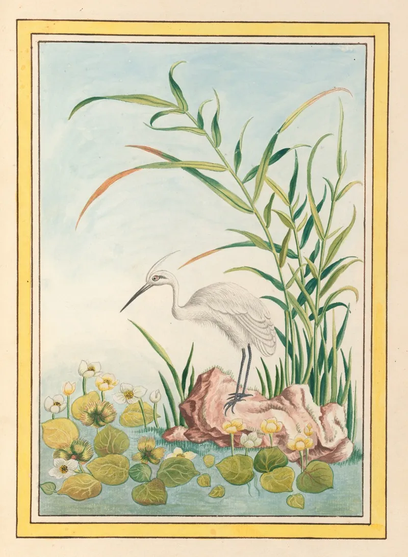 Plantes De Chine Pl 094 Wall Art by Pierre Joseph Buchoz - High-Resolution Digital Print