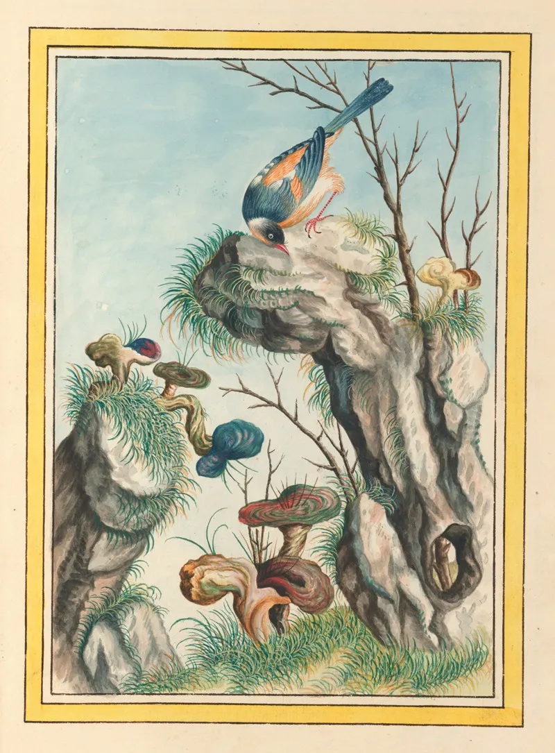Plantes De Chine Pl 098 Wall Art by Pierre Joseph Buchoz - High-Resolution Digital Print