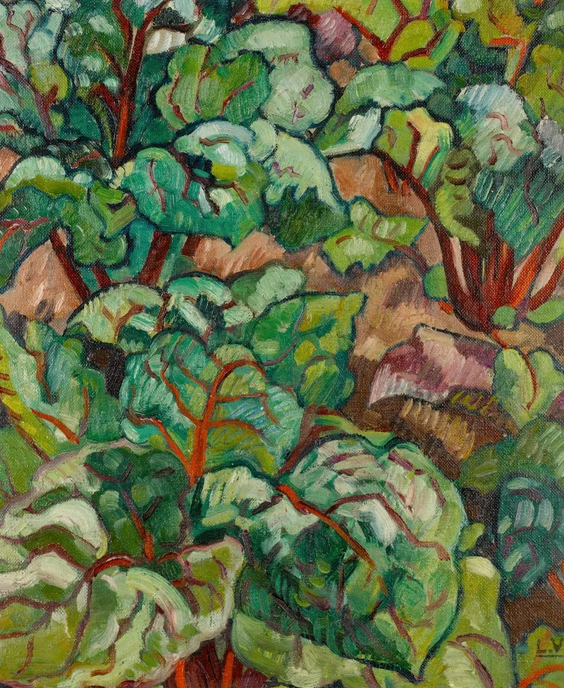 Plantes Vertes
