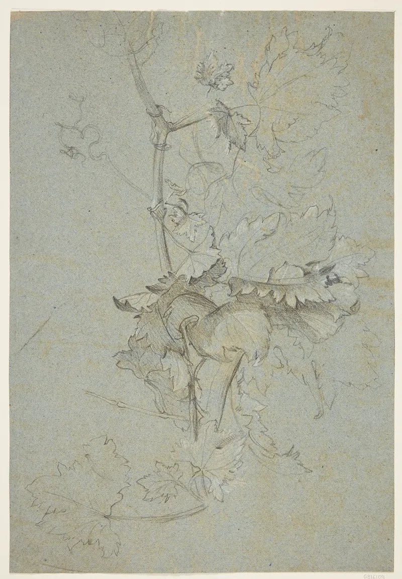 Plantestudie Wall Art by Rachel Ruysch - High-Resolution Digital Print