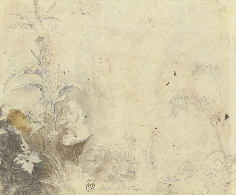 Plants 3 Wall Art by Jean-Antoine Watteau - High-Resolution Digital Print