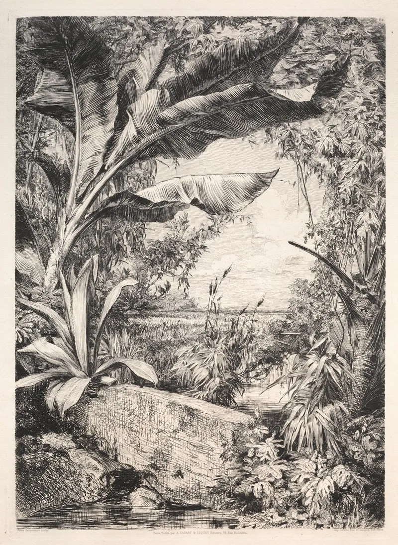 Plants Of The Greenhouse