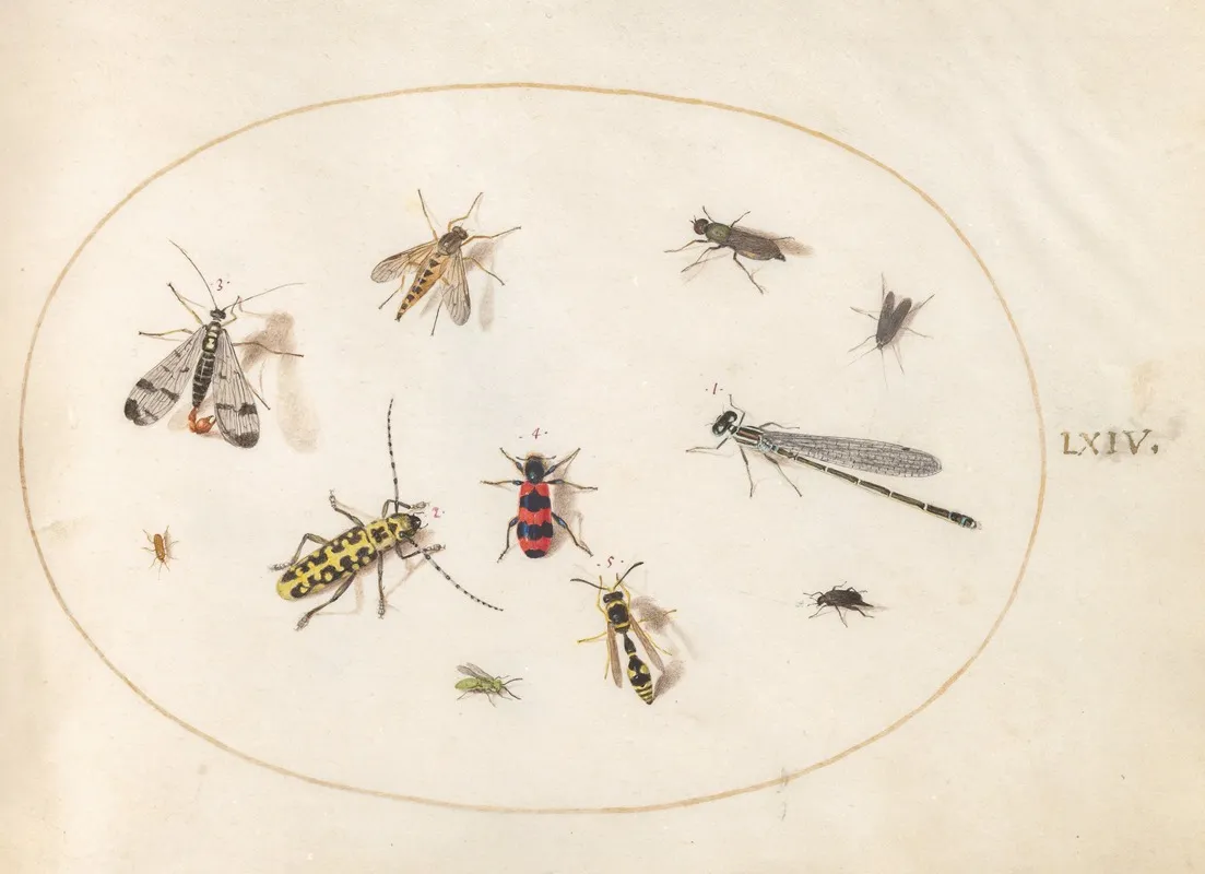 Plate 64 Eleven Insects Including A Dragonfly And Longhorn Beetle