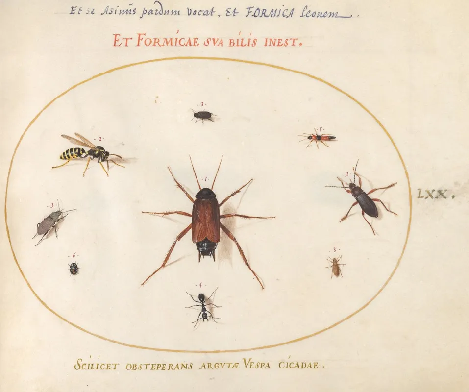 Plate 70 A Roach Surrounded By Insects