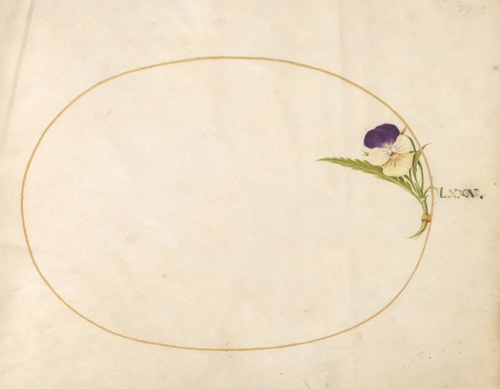 Plate 80 Purple And Yellow Viola