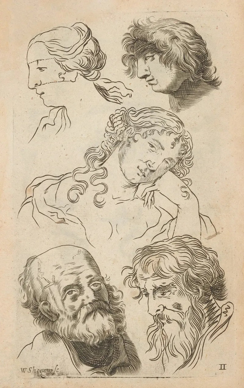 Plate Ii Artist Study Of Male Heads And Female Headtorso Wall Art by William Salmon - High-Resolution Digital Print