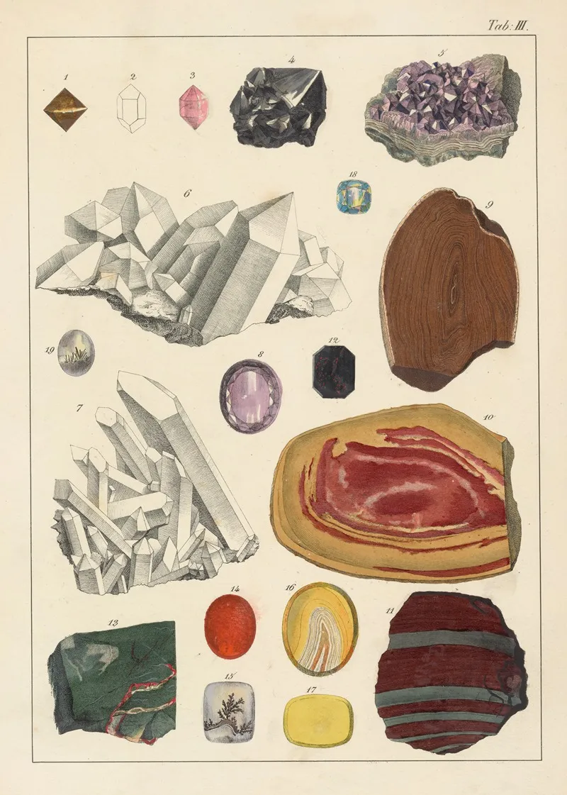 Plate Iii Quartz Wall Art by Johann Gottlob Kurr - High-Resolution Digital Print