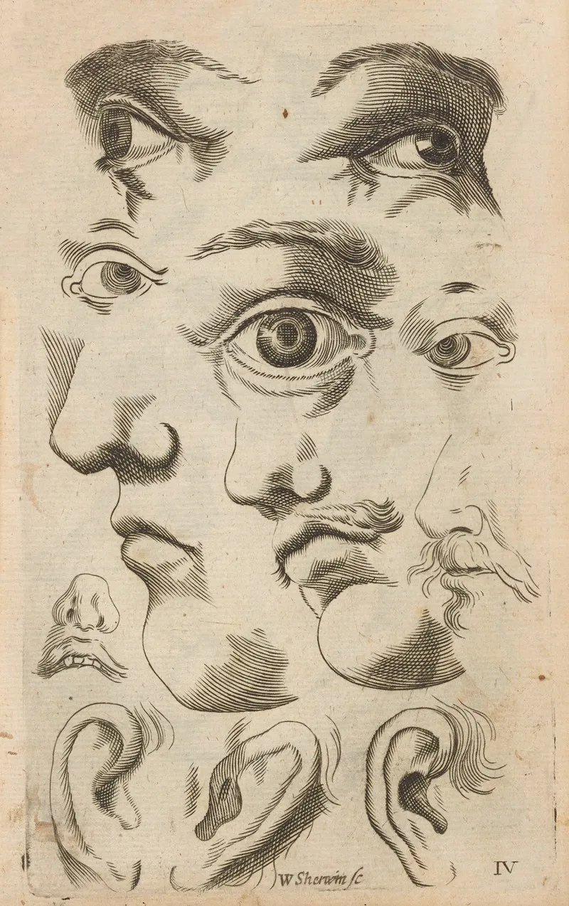 Plate Iv Artist Study Of Facial Features Wall Art by William Salmon - High-Resolution Digital Print