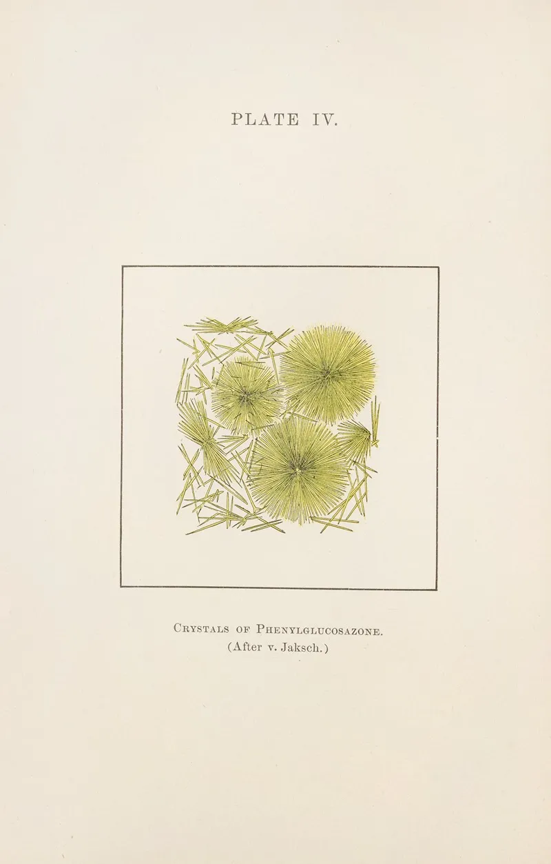Plate Iv Crystals Of Phenylglucosazone Wall Art by Charles Wesley Purdy - High-Resolution Digital Print