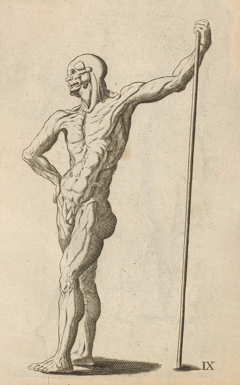 Plate Ix Artist Study Of Anatomical Male Standing Wall Art by William Salmon - High-Resolution Digital Print