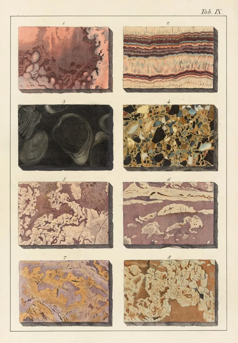 Plate Ix Carbonates Of Lime Marble Wall Art by Johann Gottlob Kurr - High-Resolution Digital Print