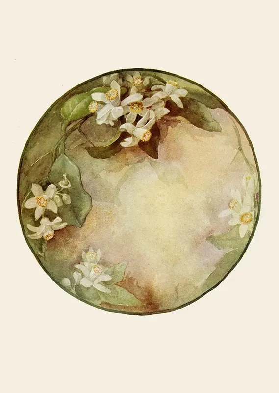 Plate Orange Blossoms Wall Art by Emma L. Bigelow - High-Resolution Digital Print