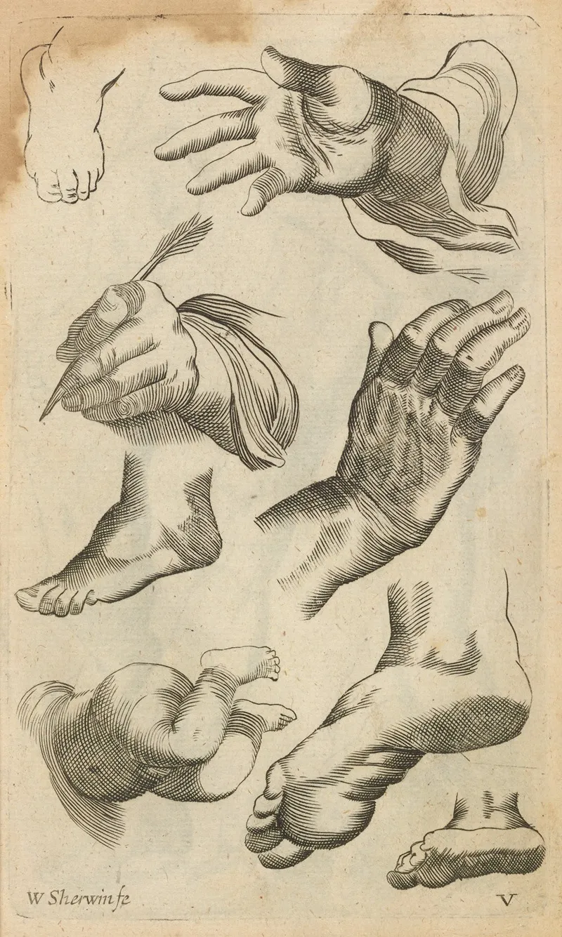 Plate V Artist Study Of Hands And Feet Wall Art by William Salmon - High-Resolution Digital Print