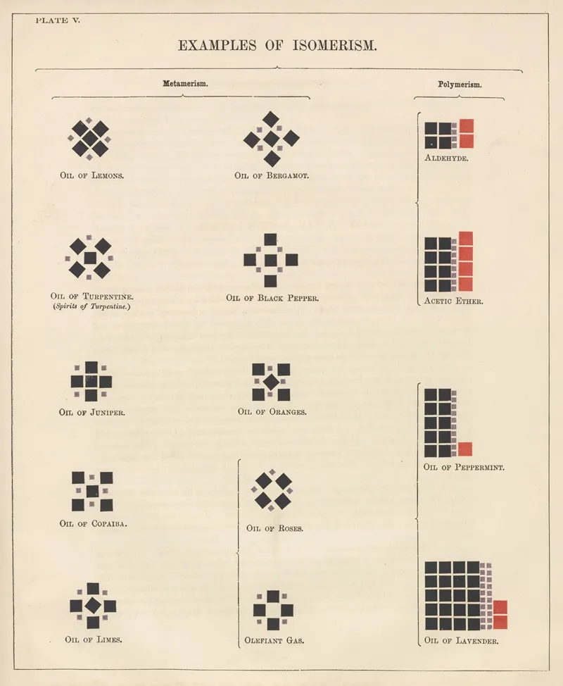 Plate V Examples Of Isomerism Wall Art by Edward Livingston Youmans - High-Resolution Digital Print