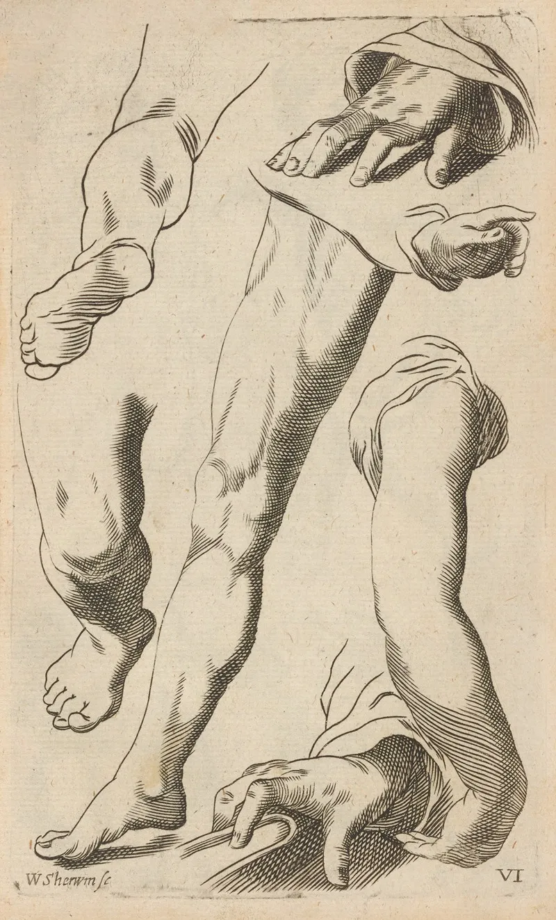 Plate Vi Artist Study Of Legs Arms Hands And Feet Wall Art by William Salmon - High-Resolution Digital Print