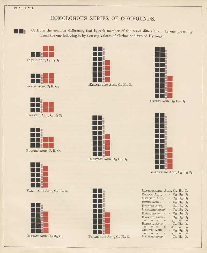 Plate Vii Homologous Series Of Compounds Wall Art by Edward Livingston Youmans - High-Resolution Digital Print