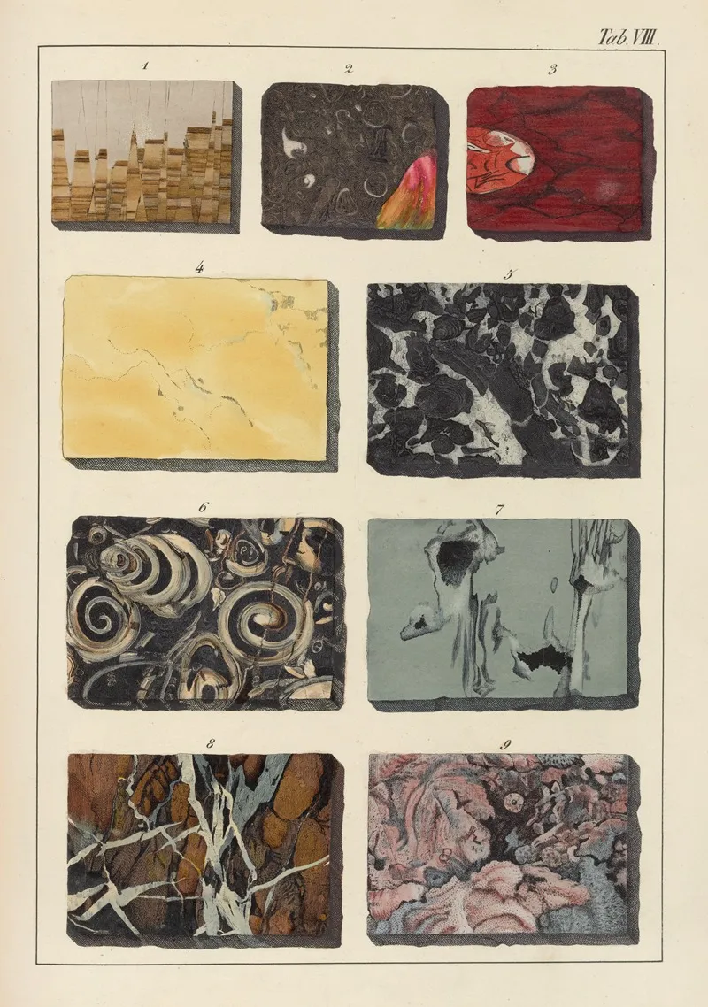 Plate Viii Marbles Wall Art by Johann Gottlob Kurr - High-Resolution Digital Print