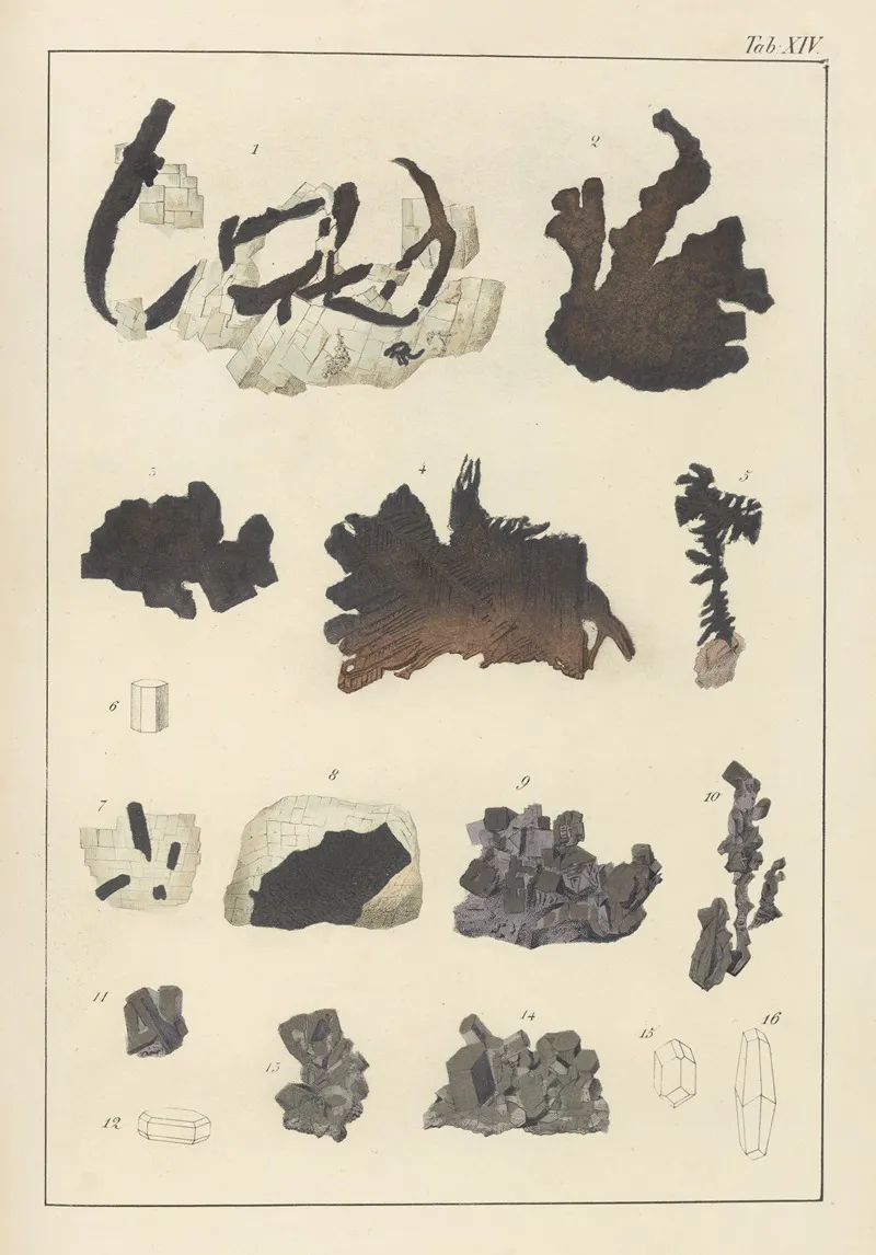 Plate Xiv Native Silver Antimonial Silver Sulphuret Of Silver Glance And Red Silver Ore Wall Art by Johann Gottlob Kurr - High-Resolution Digital Print