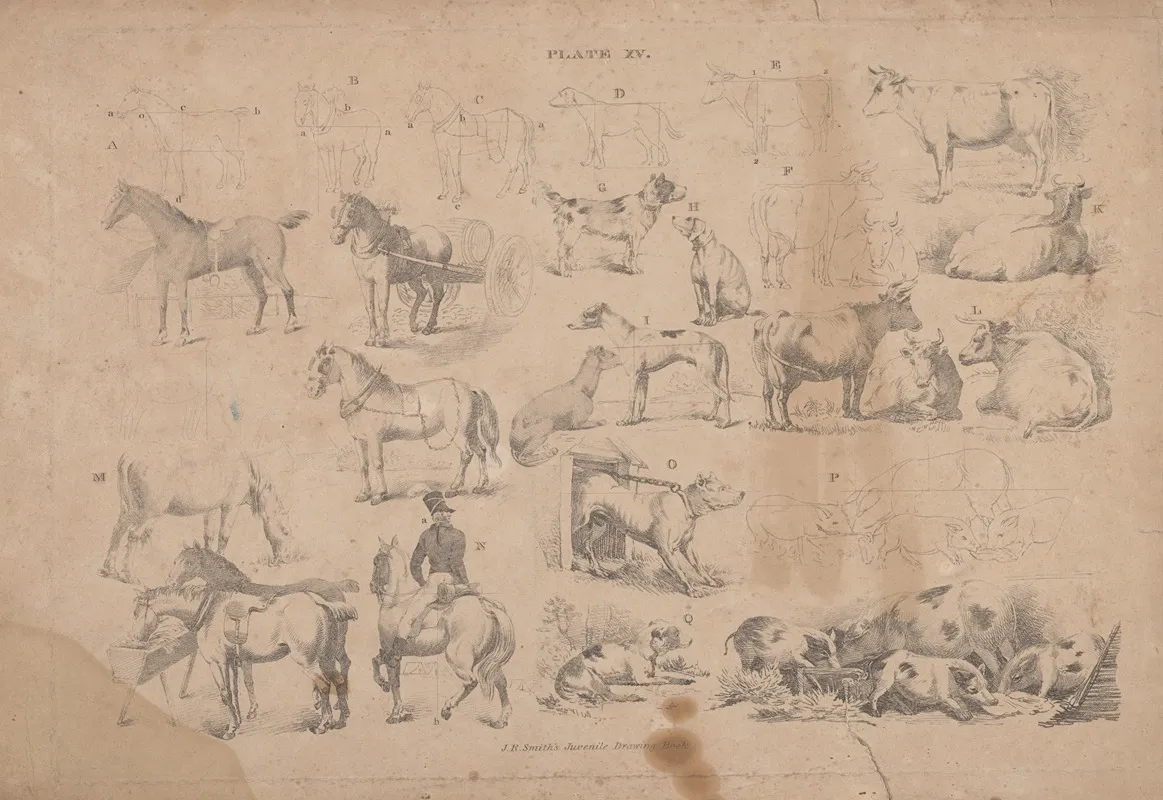 Plate Xv J R Smiths Juvenile Drawing Book