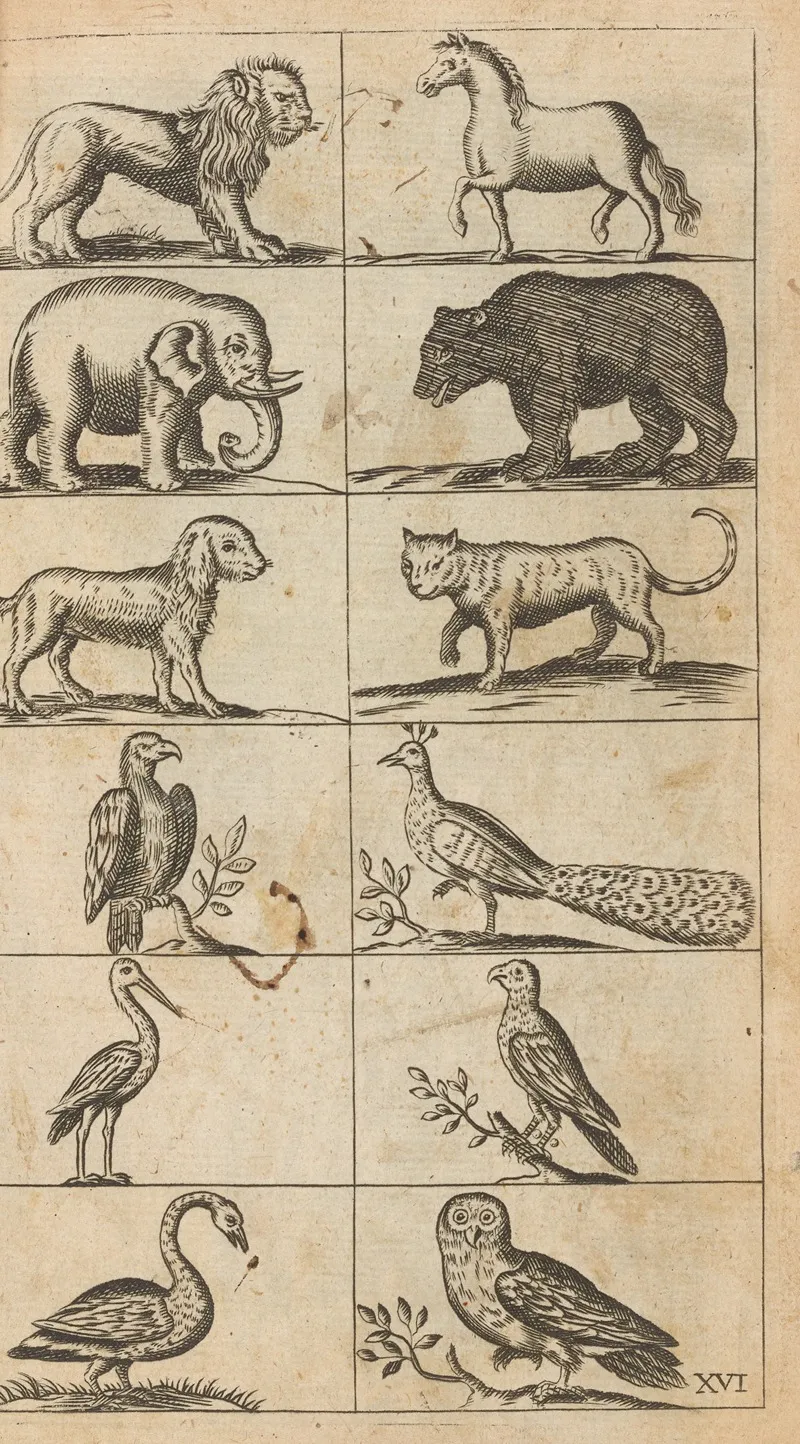 Plate Xvi Illustrations Of Various Animals Wall Art by William Salmon - High-Resolution Digital Print